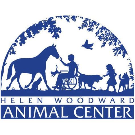 homeless lucky day chochox|Helen Woodward Animal Center, Lucky Duck  .